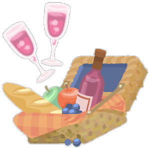 Picnic Set from Home