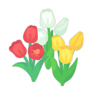 Tri-Colored Tulip Set