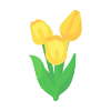 Robust Yellow Tulip