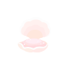 Coral Pink Shell