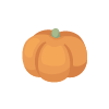 Ripe Plumpy Pumpkin