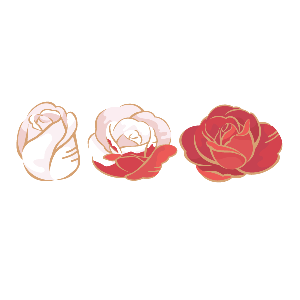 Hidden Rose Kingdom White Rose Set