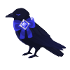 Carrying Dancing Sapphire Crow