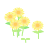 Sunflower Set