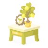 Lemon Tree on the Side Table