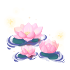 Floating in a Pond of Milky Way Water Lily