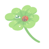 Lucky Four-Leaf Clover & Ladybug