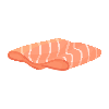 Fresh Salmon Slice