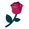 Single Flower Left by the Phantom Thief