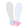 Fluffy Kiki & Lala Slippers