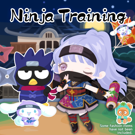 Ninja Training