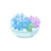 Rain Blue Hydrangea Displayed in a Bowl