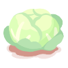 Grown with Care Cabbage